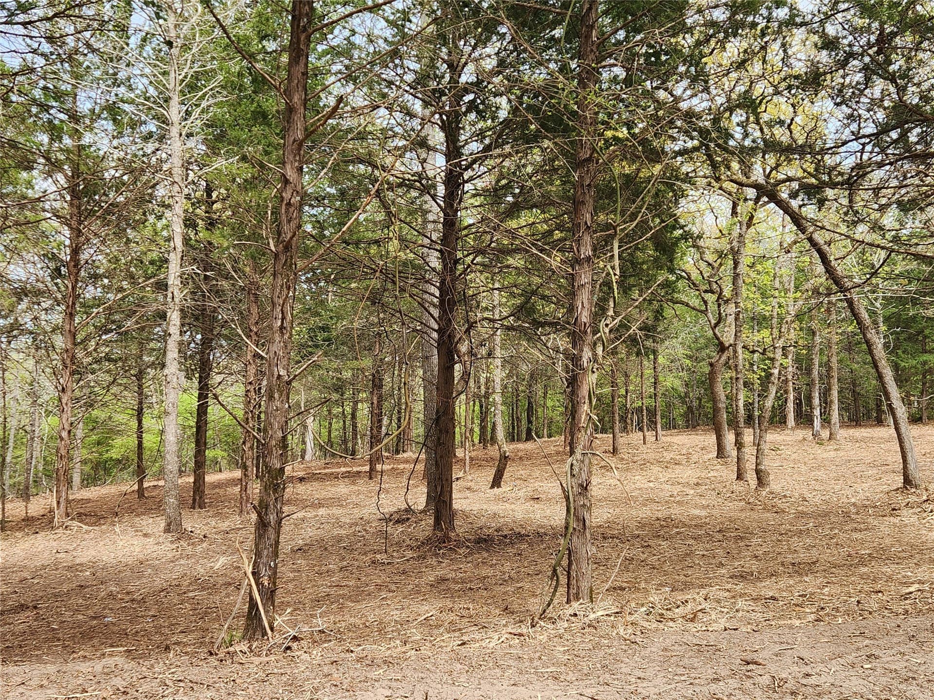 5.01 acres in Henderson County - photo 9