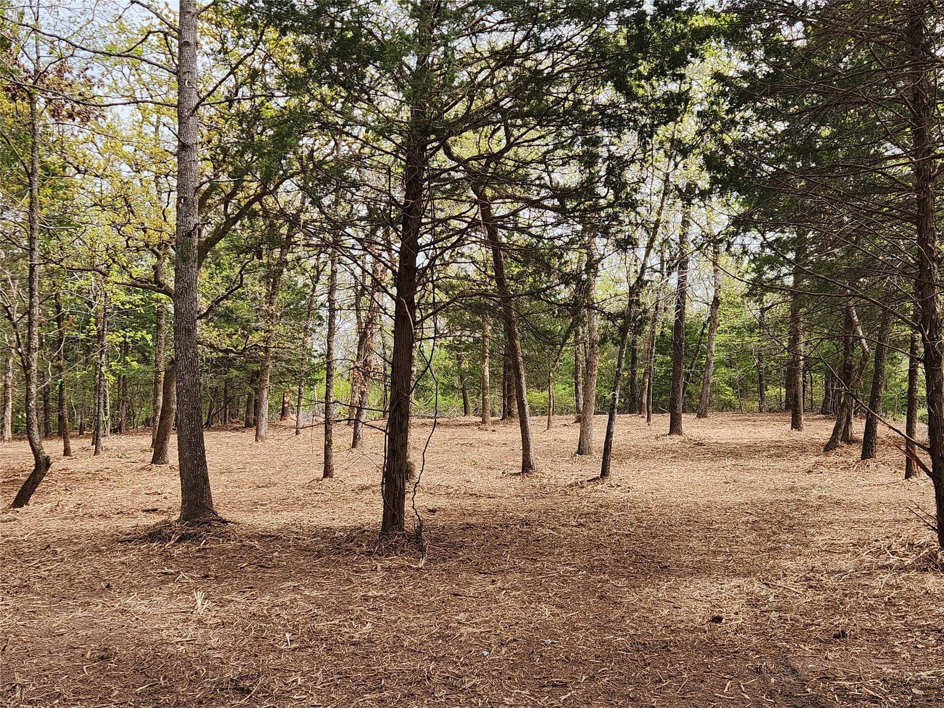 5.01 acres in Henderson County - photo 3