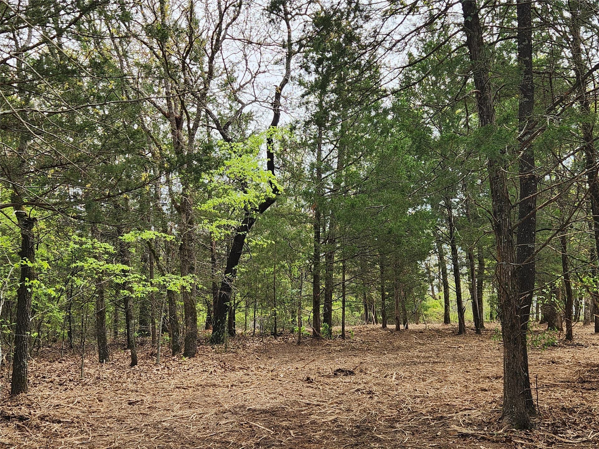 5.01 acres in Henderson County - photo 19