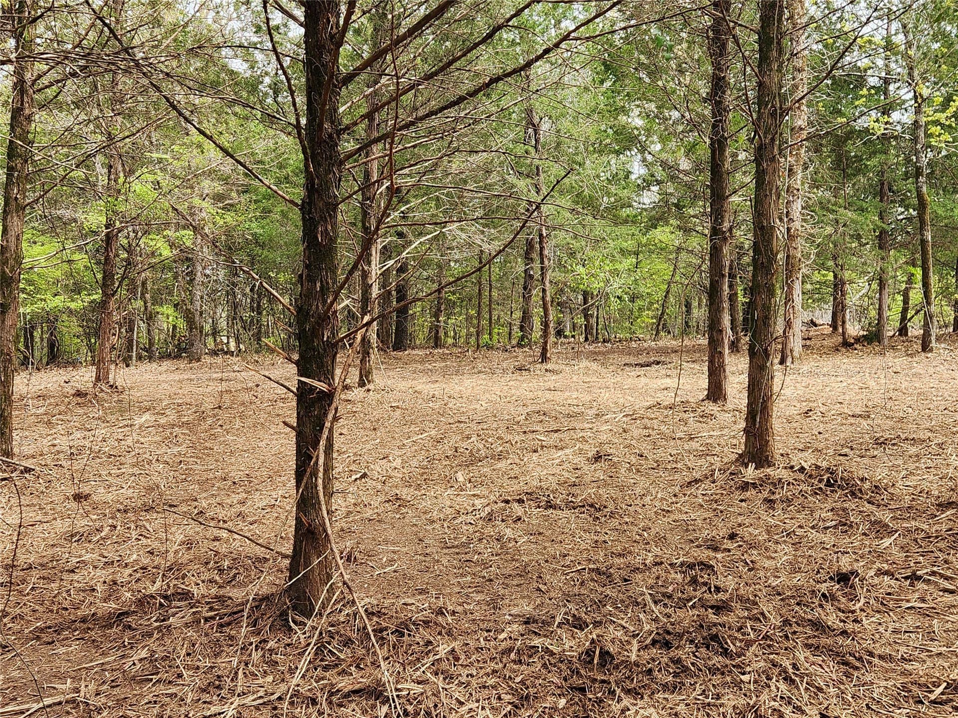 5.01 acres in Henderson County - photo 12