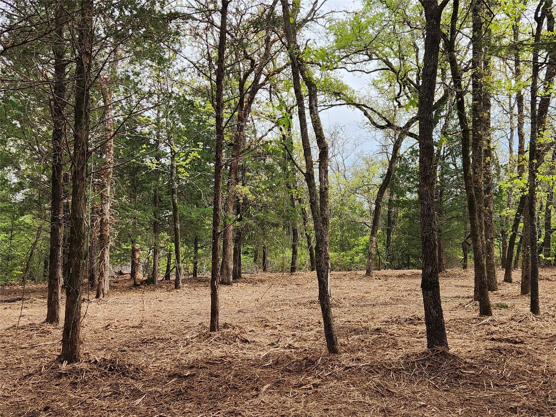 5.01 acres in Henderson County - photo 13