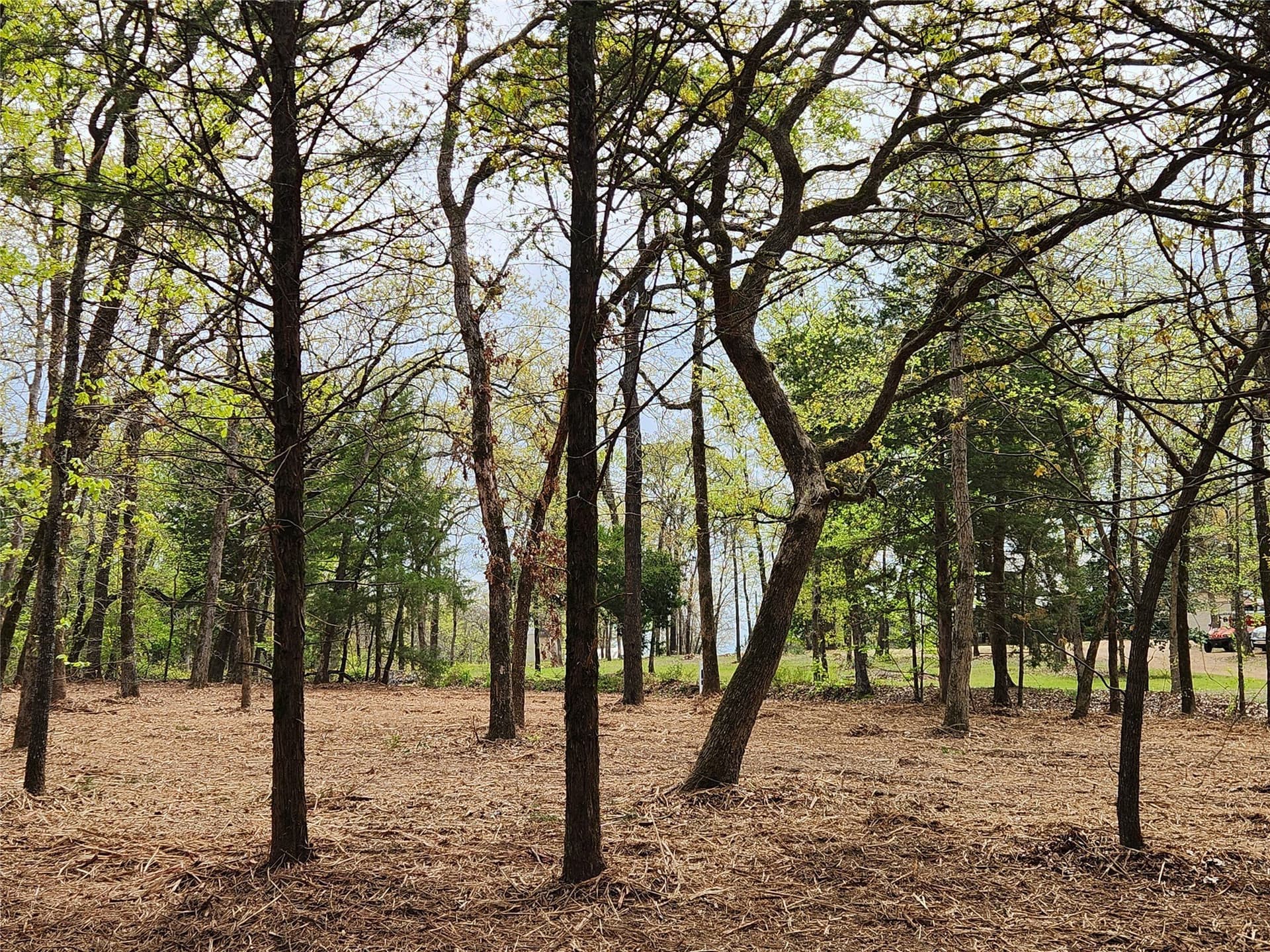 5.01 acres in Henderson County - photo 14