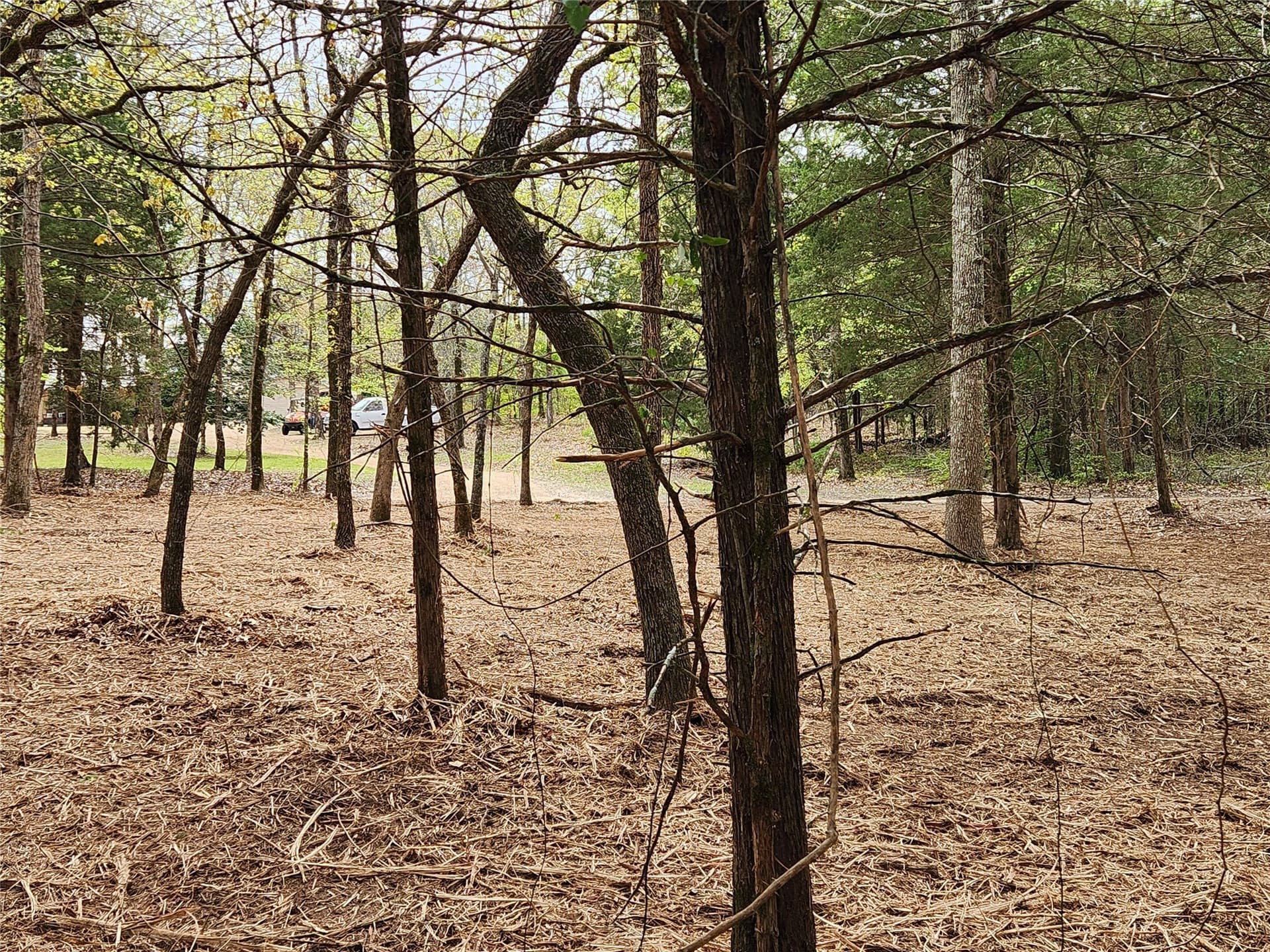 5.01 acres in Henderson County - photo 15