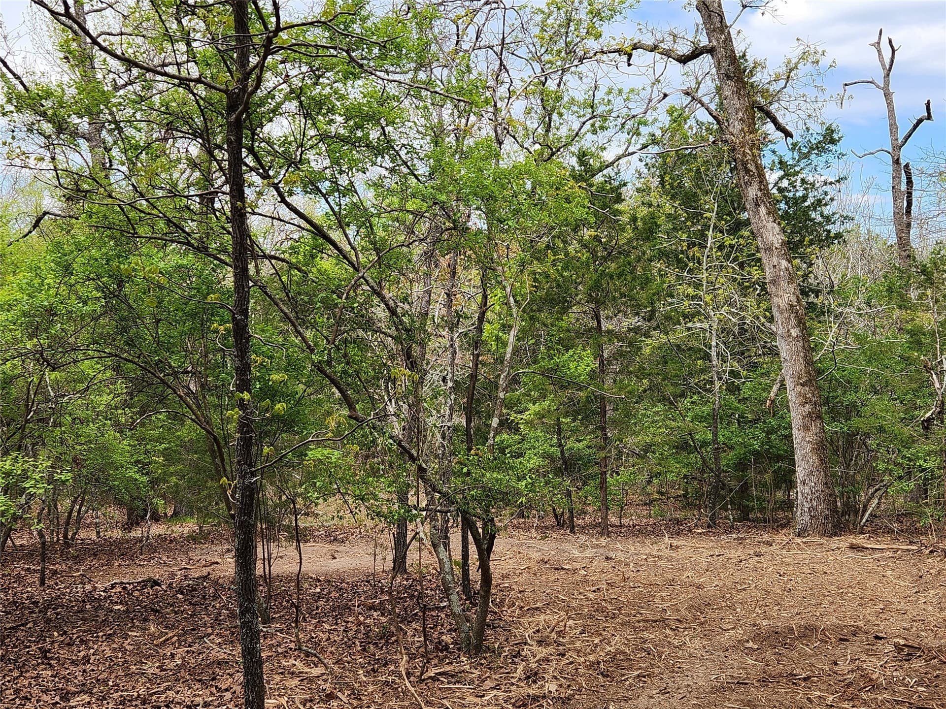 5.01 acres in Henderson County - photo 16
