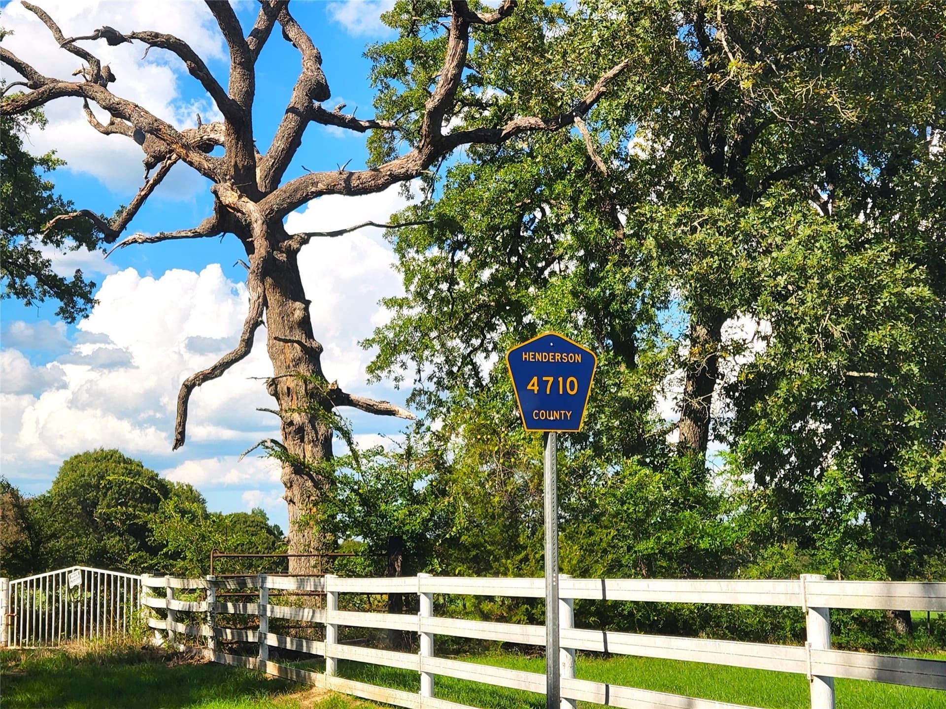 5.01 acres in Henderson County - photo 21