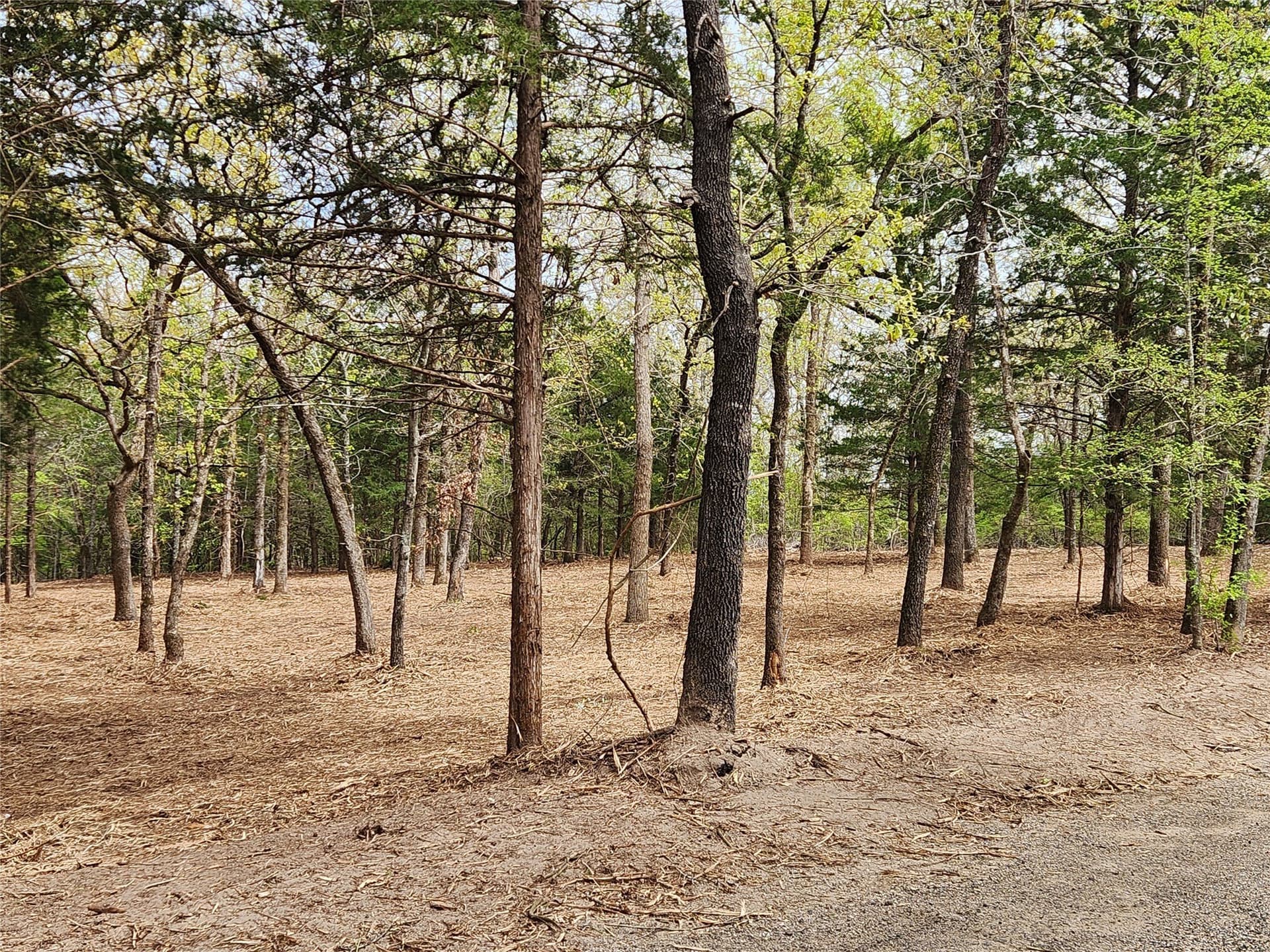 5.01 acres in Henderson County - photo 8