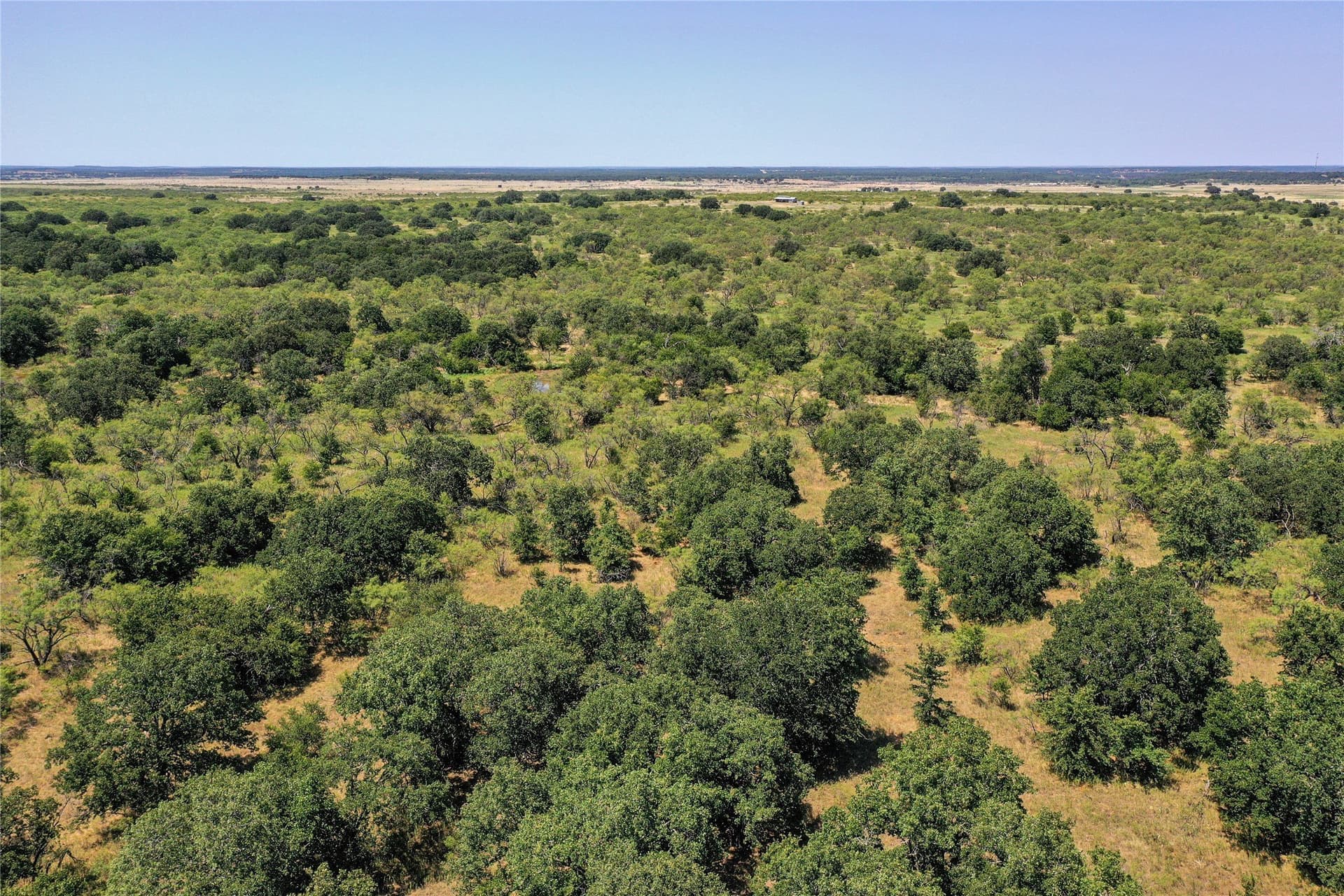 131.7 acres in Jack County featured view