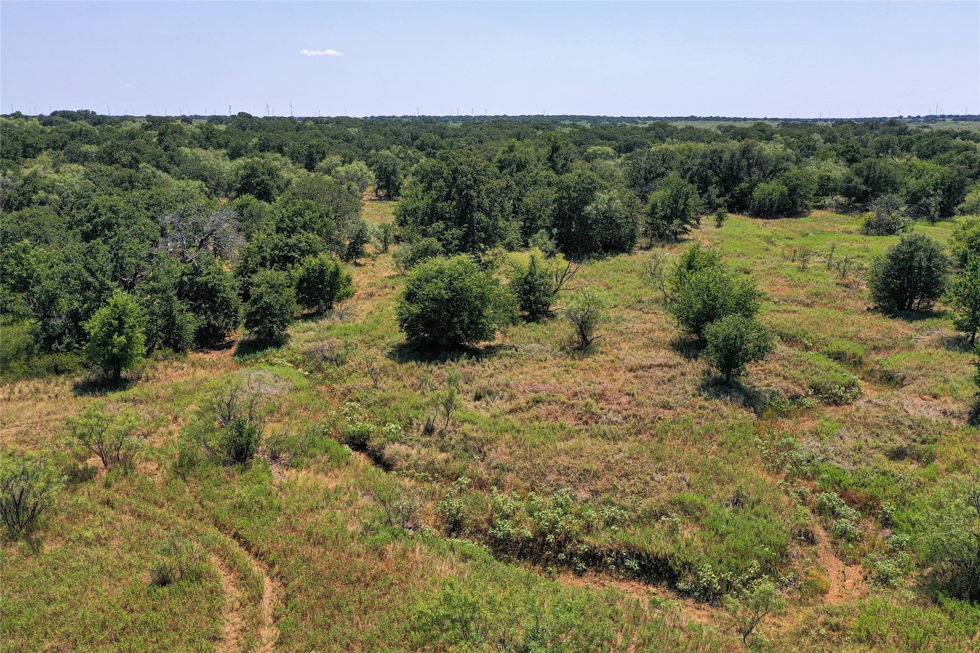 131.7 acres in Jack County gallery image 3