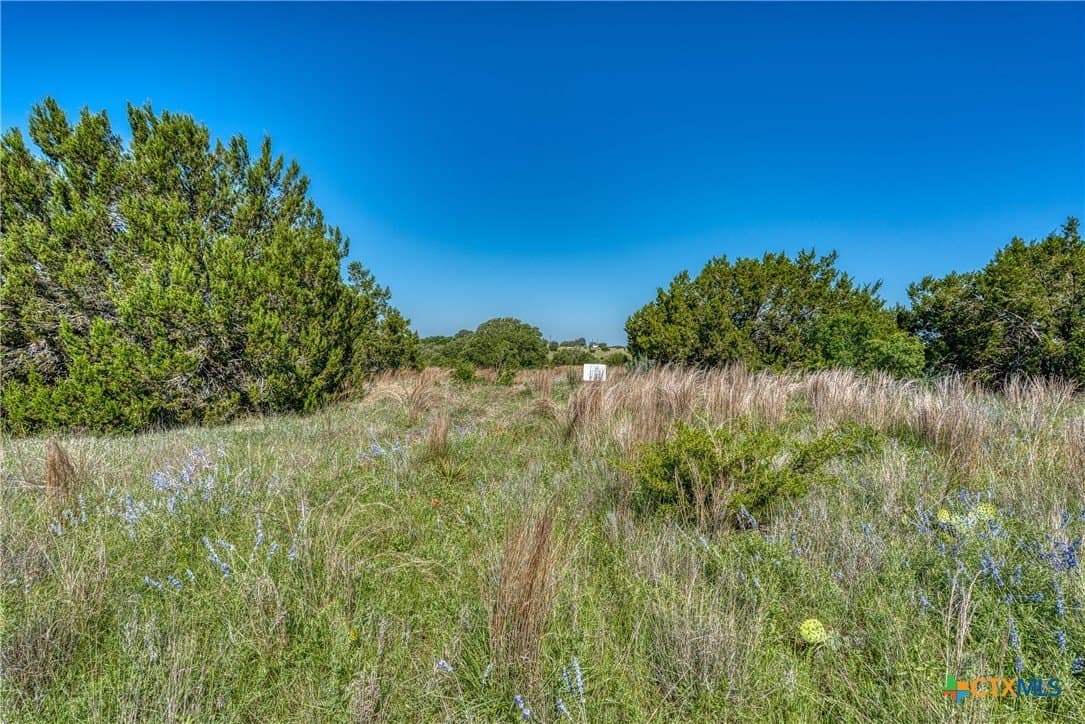 5 acres in Burnet County gallery image 3