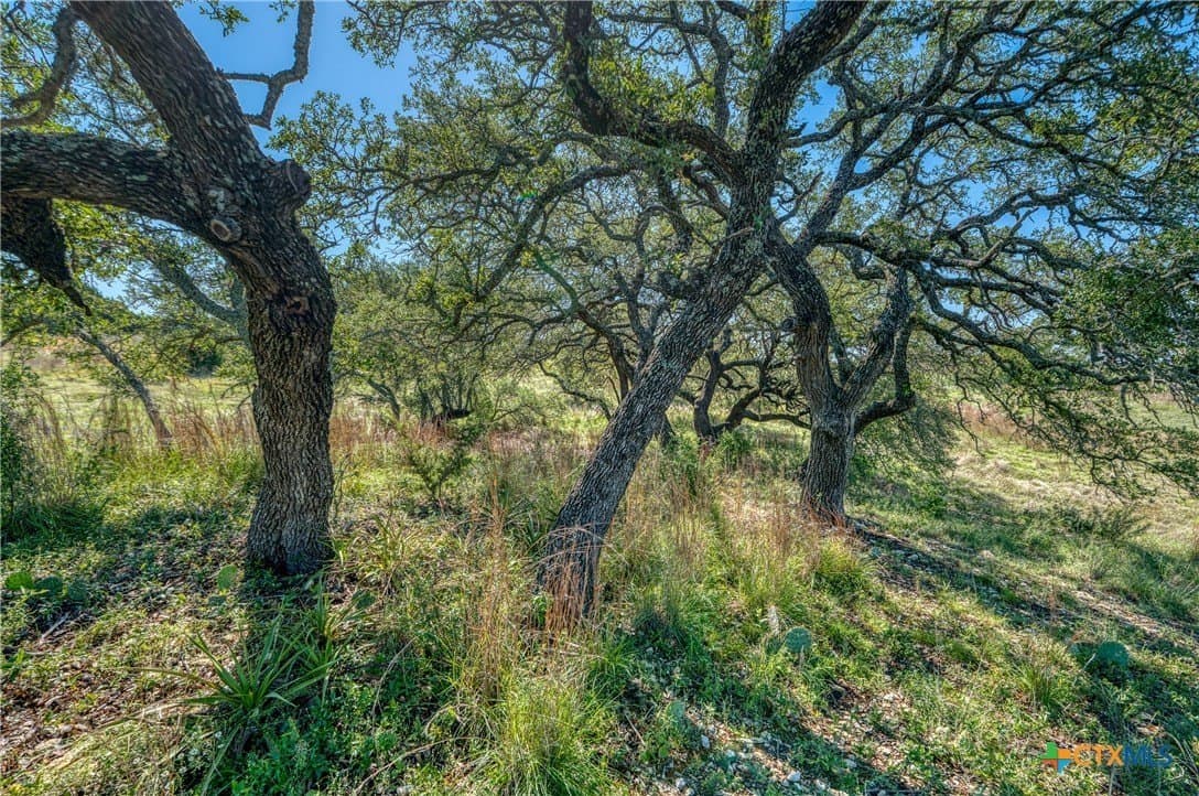 5 acres in Burnet County - photo 14