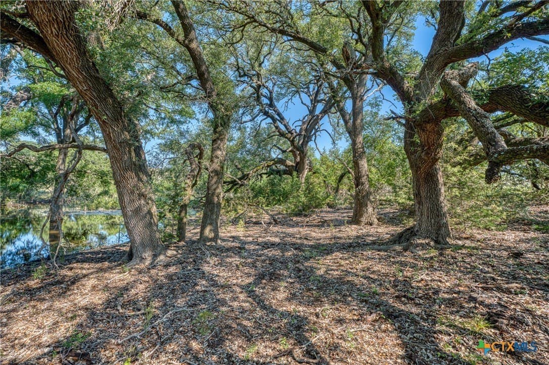 5 acres in Burnet County - photo 17