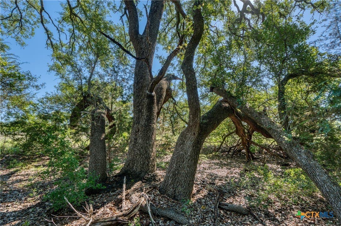 5 acres in Burnet County - photo 18