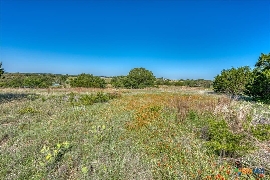 5 acres in Burnet County gallery image 2