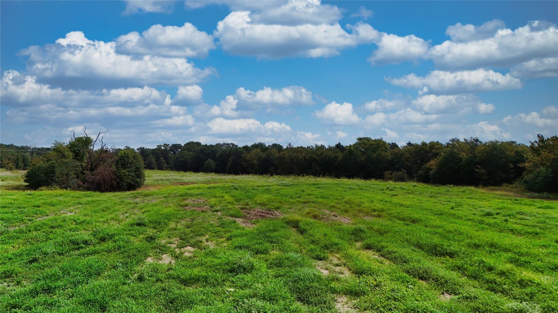 51.73 acres in Van Zandt County - photo 19