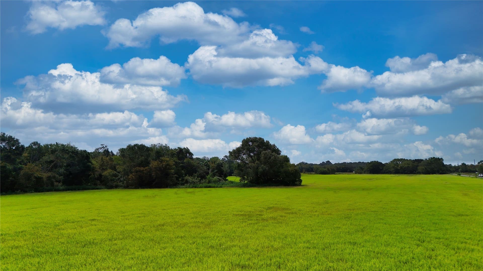 51.73 acres in Van Zandt County - photo 8