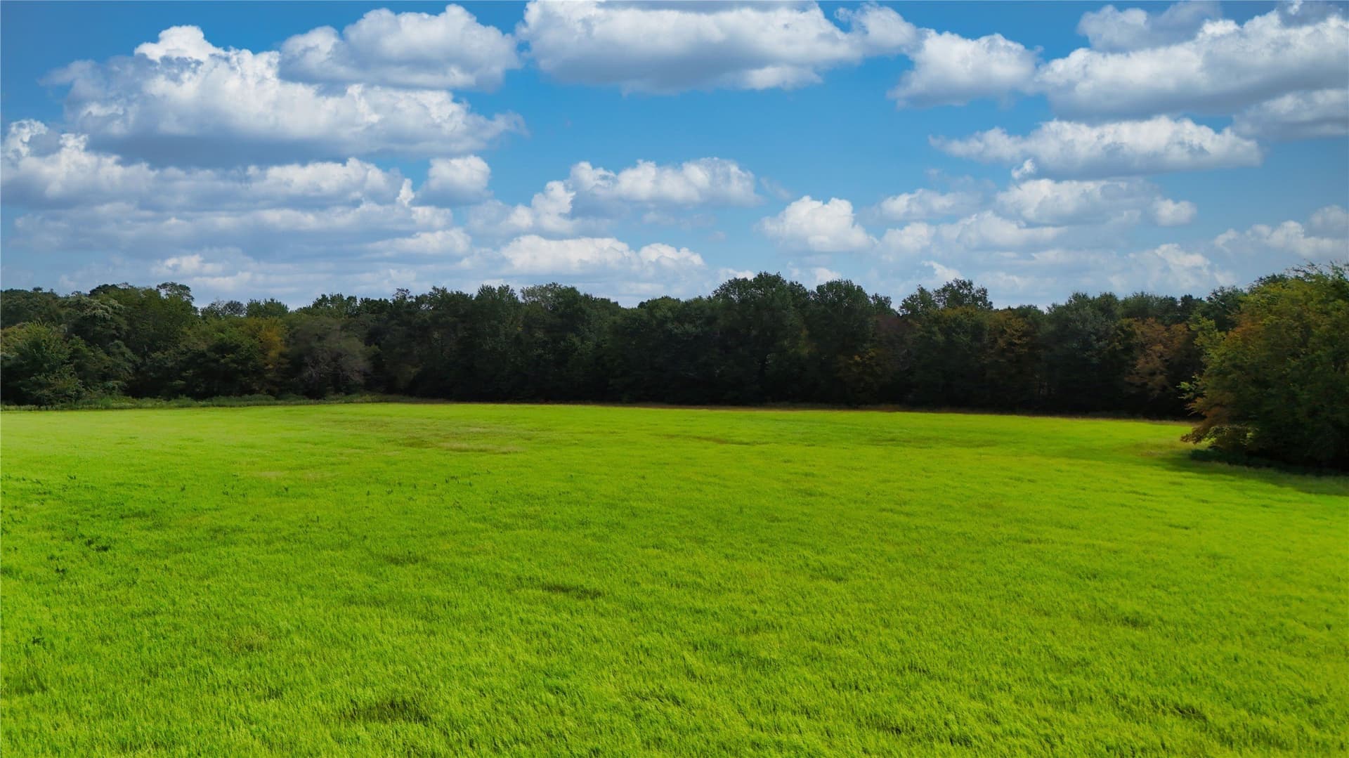 51.73 acres in Van Zandt County - photo 16