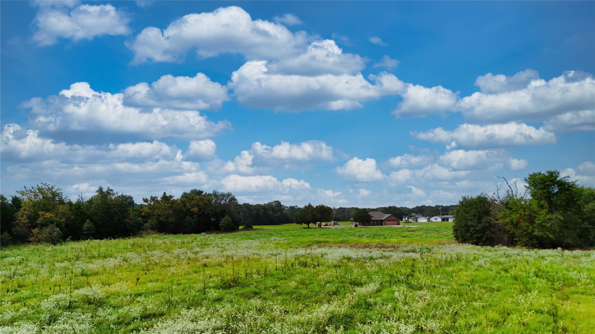 51.73 acres in Van Zandt County - photo 9