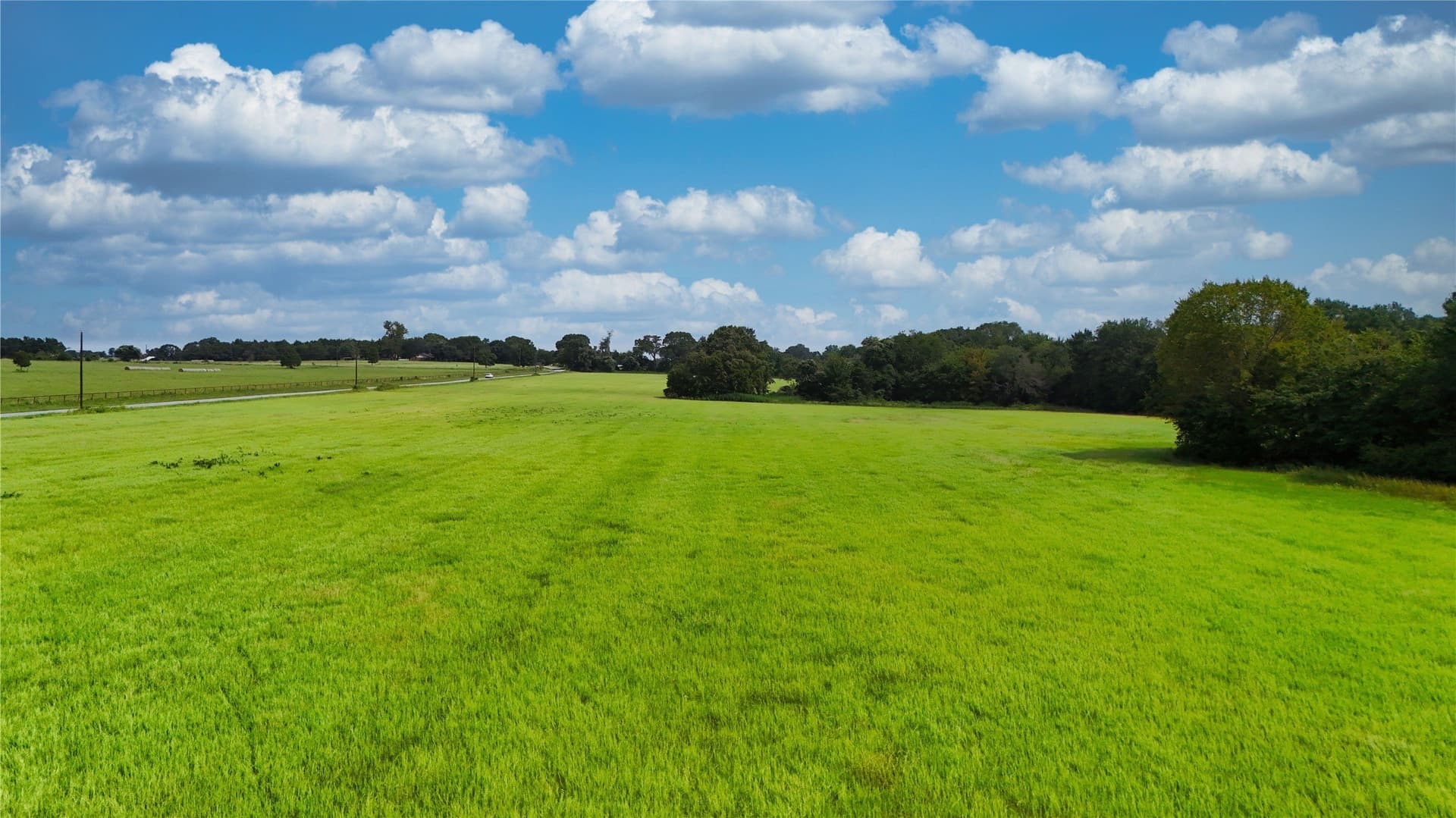 51.73 acres in Van Zandt County gallery image 4
