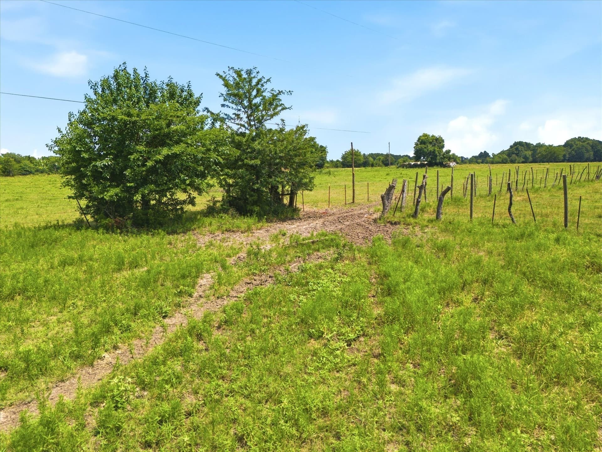 5.45 acres in Hunt County - photo 11
