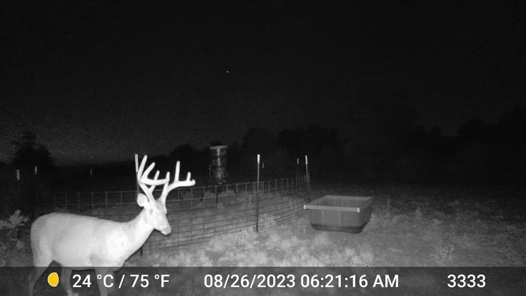 20 acres in Jones County gallery image 2