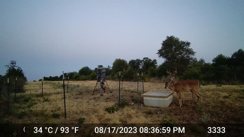 20 acres in Jones County