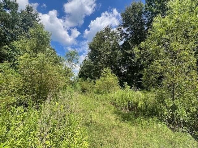 30.01 acres in Texas County gallery image 3