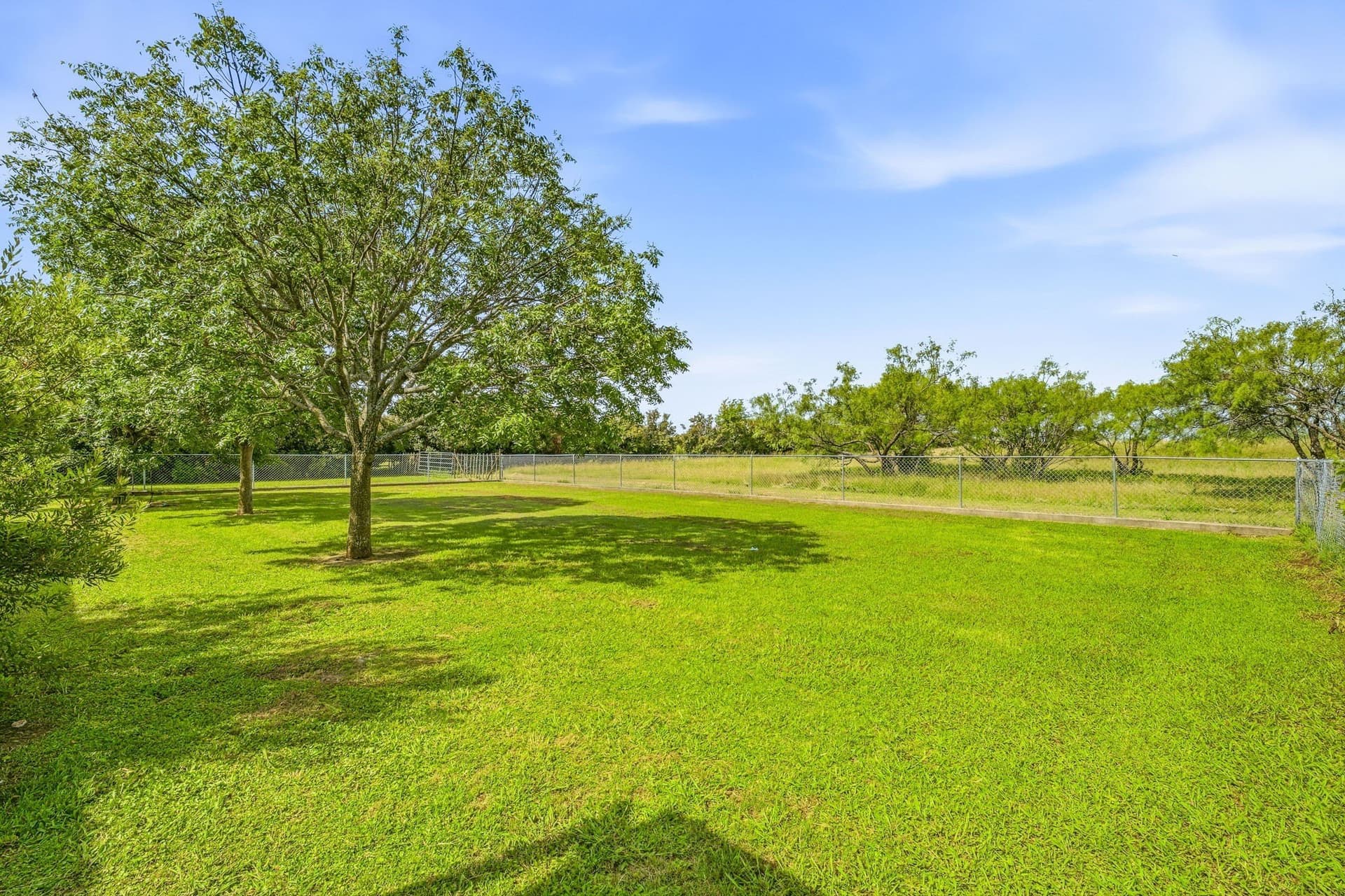 282.47 acres in Erath County - photo 11