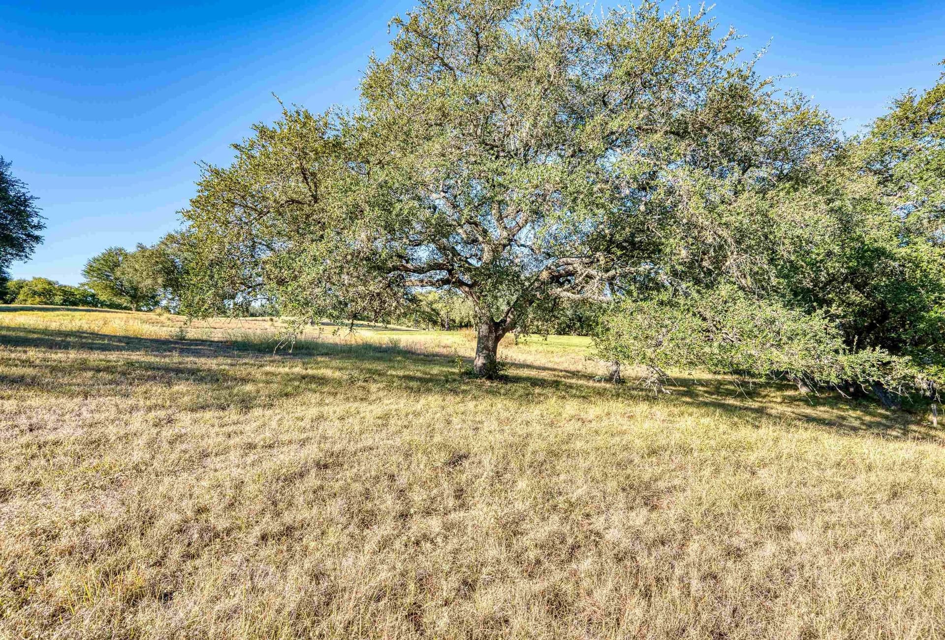 0.59 acres in Llano County - photo 29