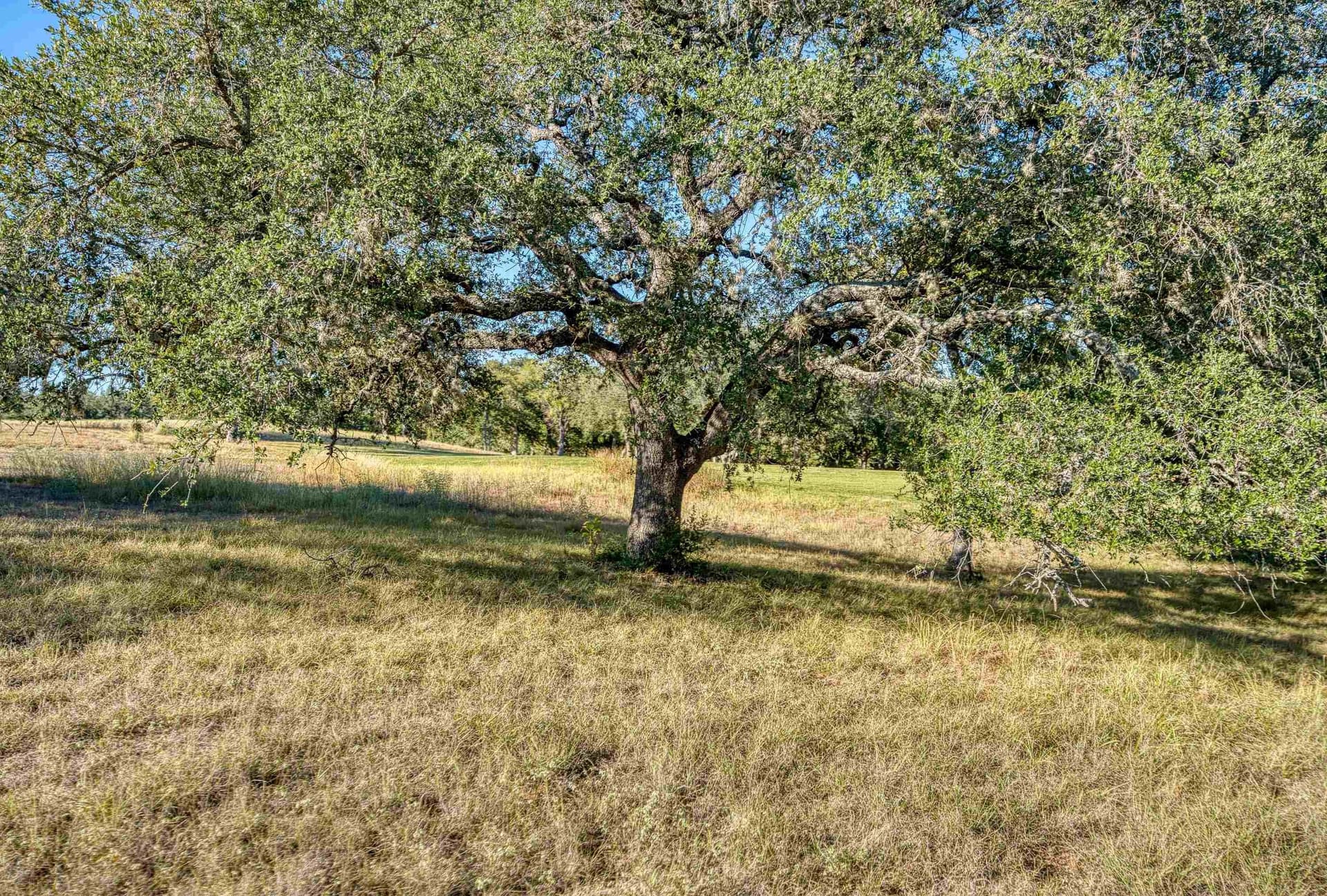 0.59 acres in Llano County - photo 26