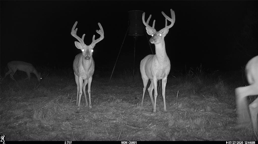 154 acres in Coleman County gallery image 3