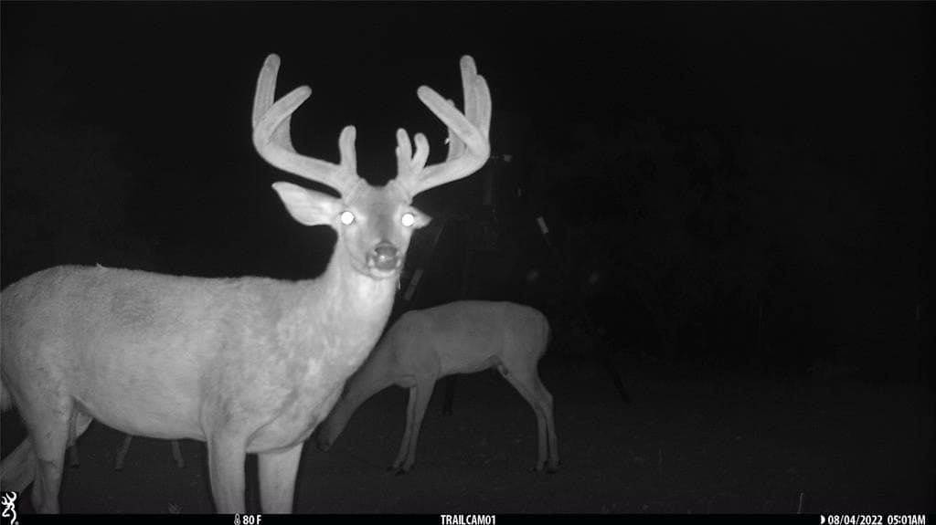 154 acres in Coleman County gallery image 2