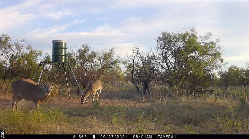 154 acres in Coleman County featured view