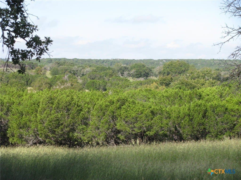 62.14 acres in Coryell County - photo 20