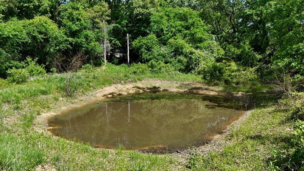 9.35 acres in HENDERSON County - photo 46