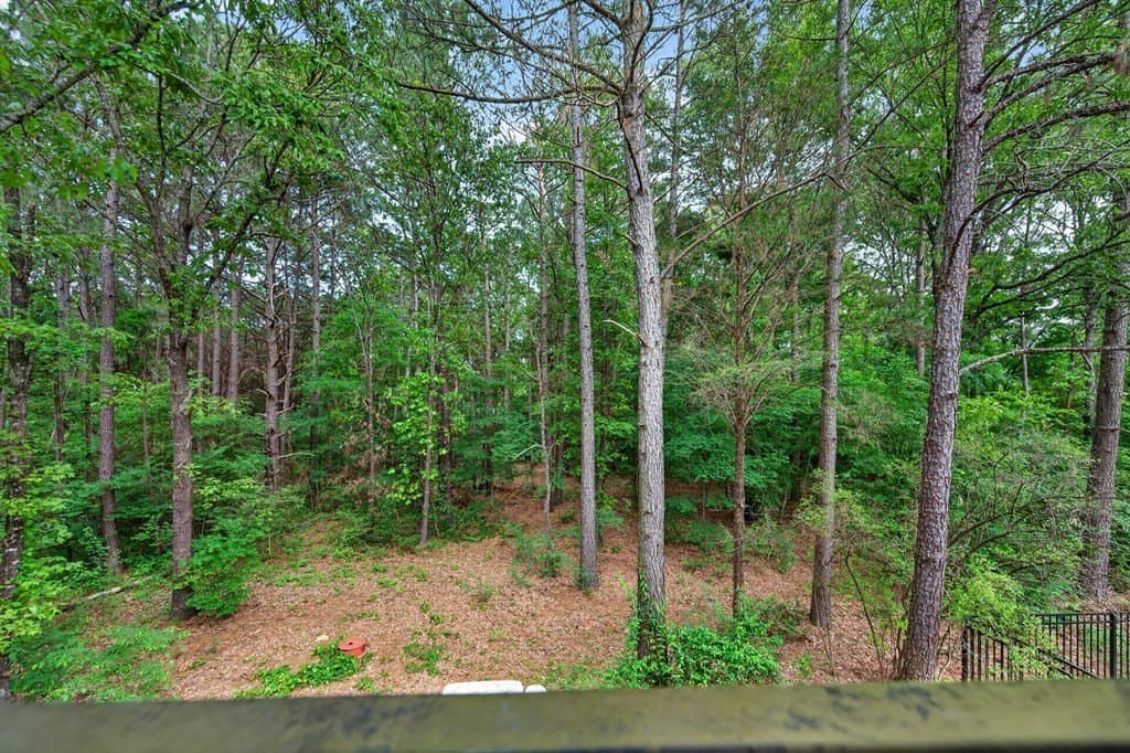 9.35 acres in HENDERSON County - photo 47