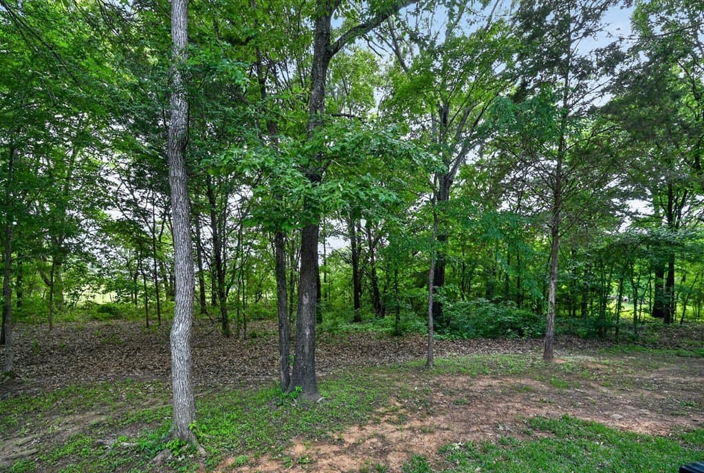 9.35 acres in HENDERSON County - photo 55