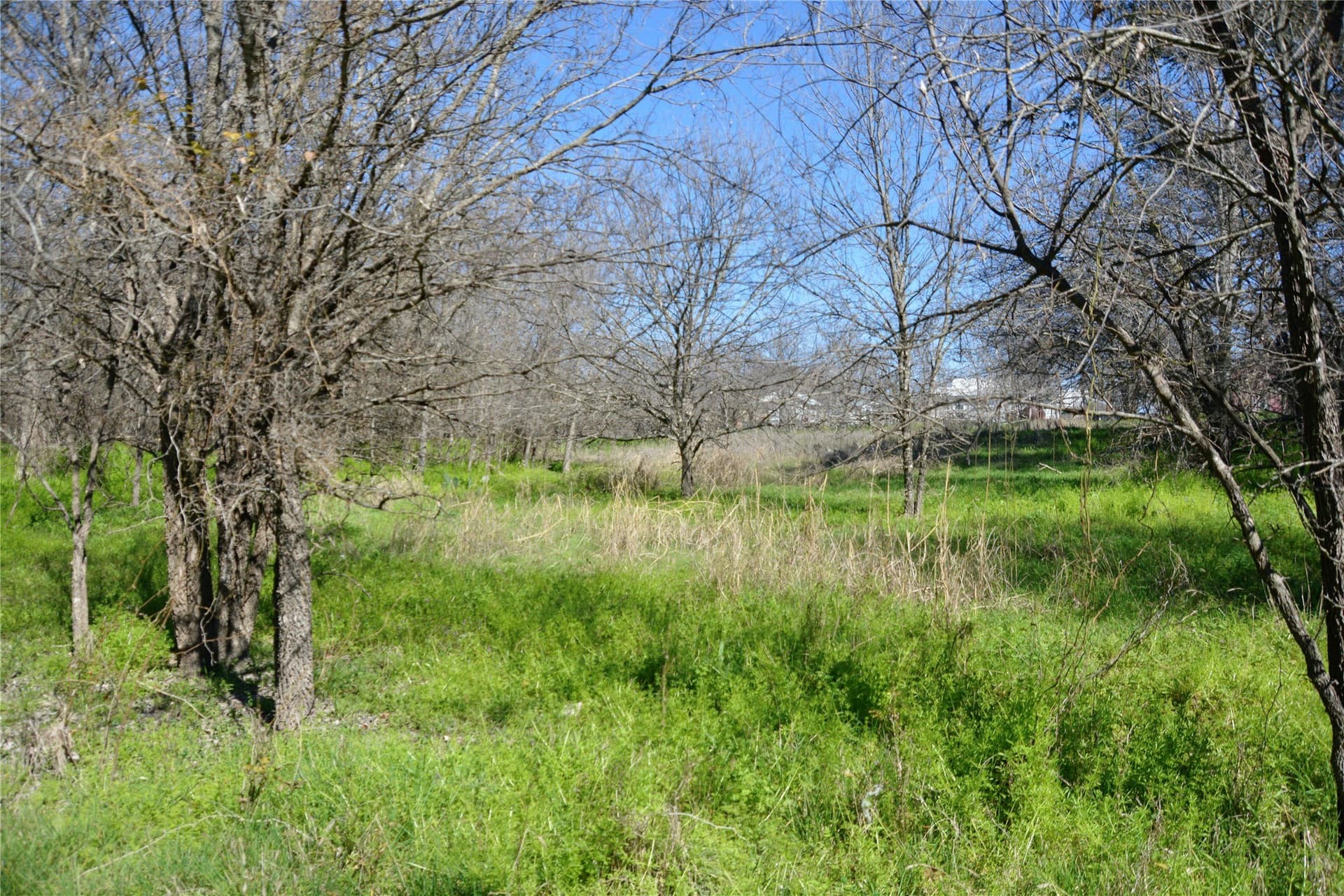 3 acres in Mills County gallery image 4