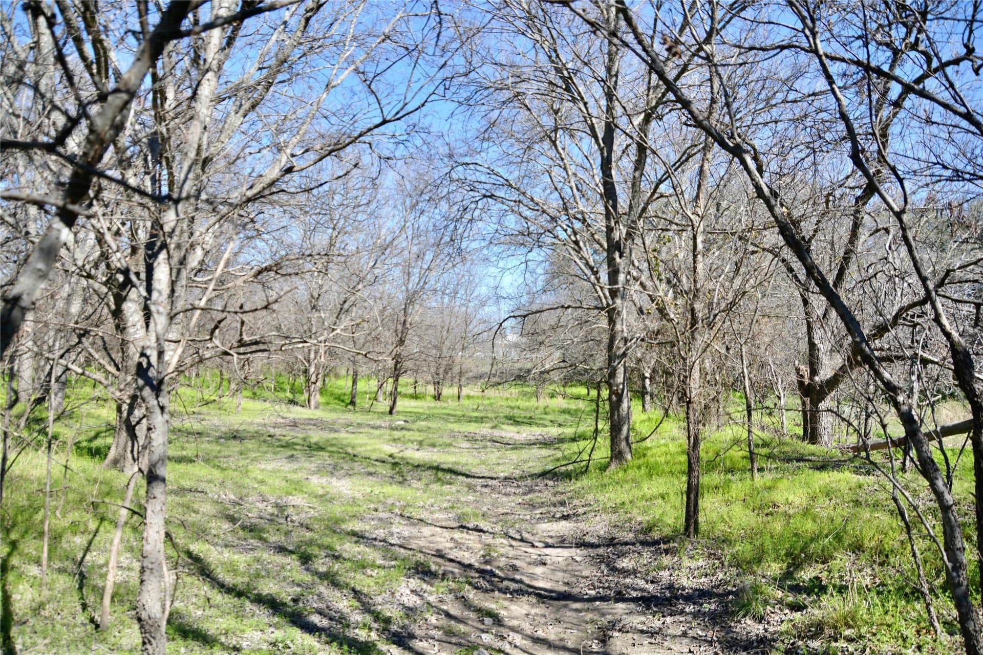 3 acres in Mills County gallery image 3