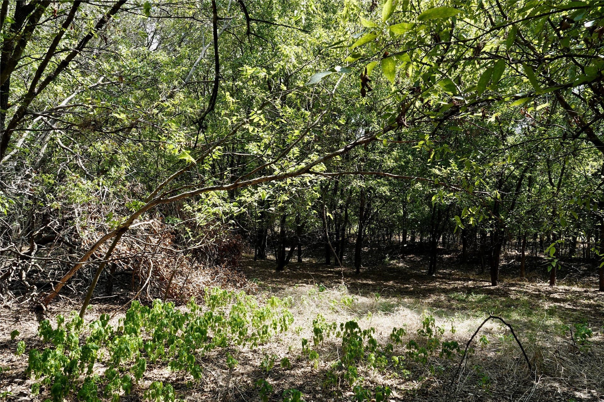 3 acres in Mills County featured view