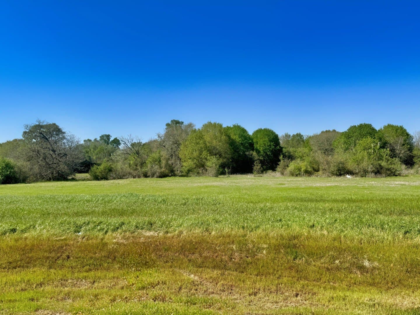1.72 acres in Grimes County