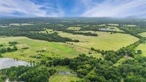 493.52 acres in Rains County featured view