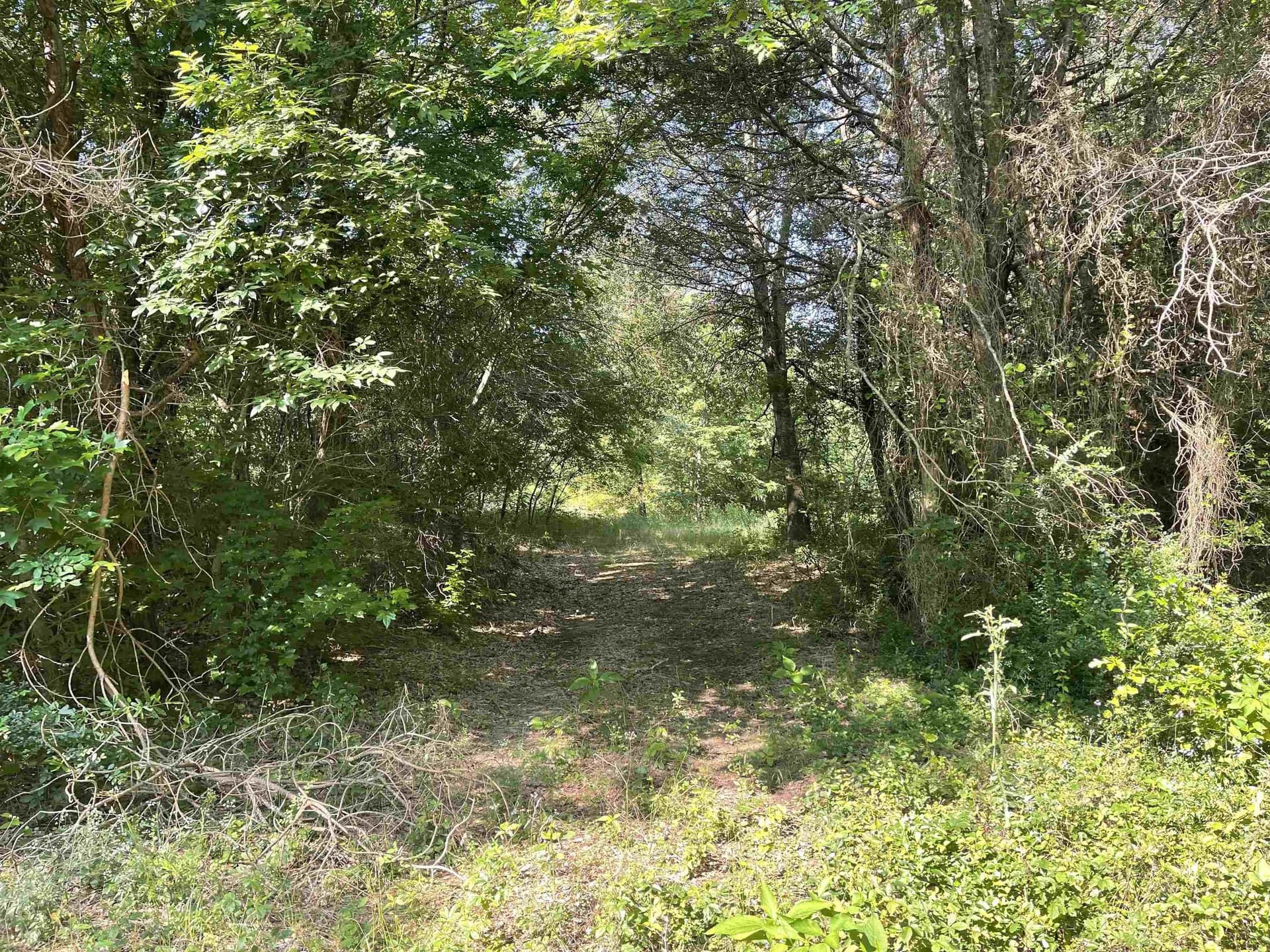 19.86 acres in Wood County featured view