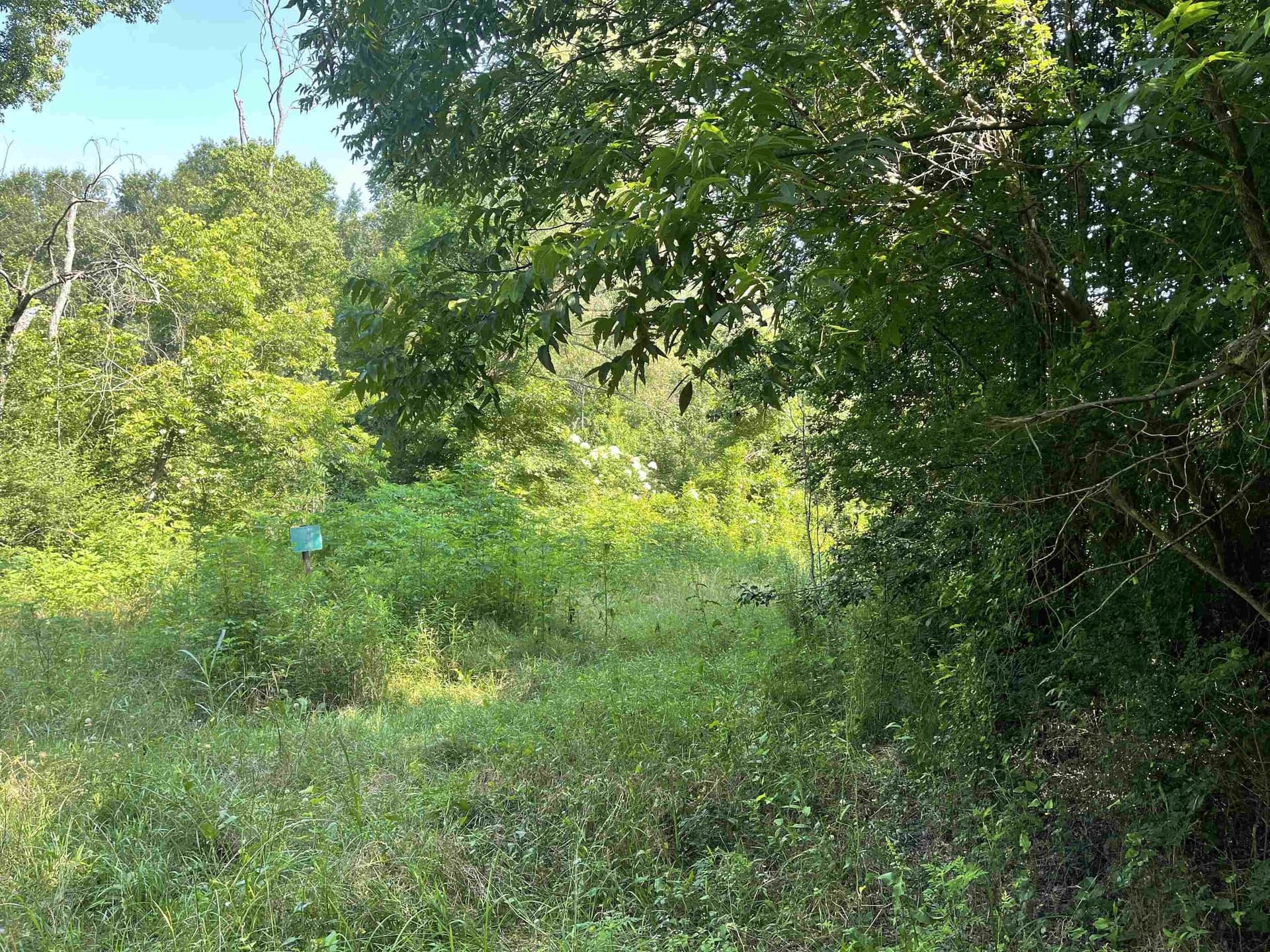 19.86 acres in Wood County - photo 9