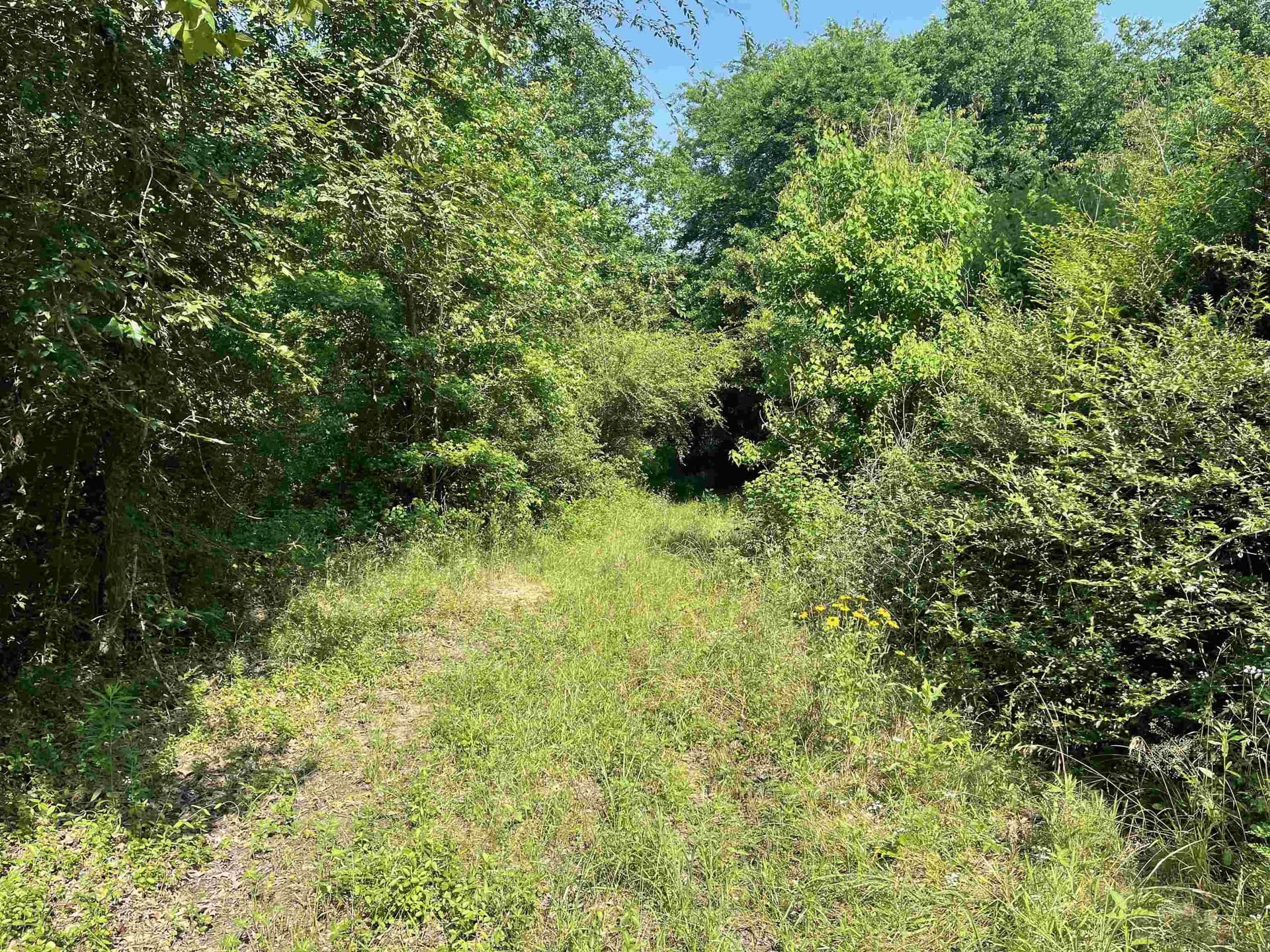 19.86 acres in Wood County - photo 7