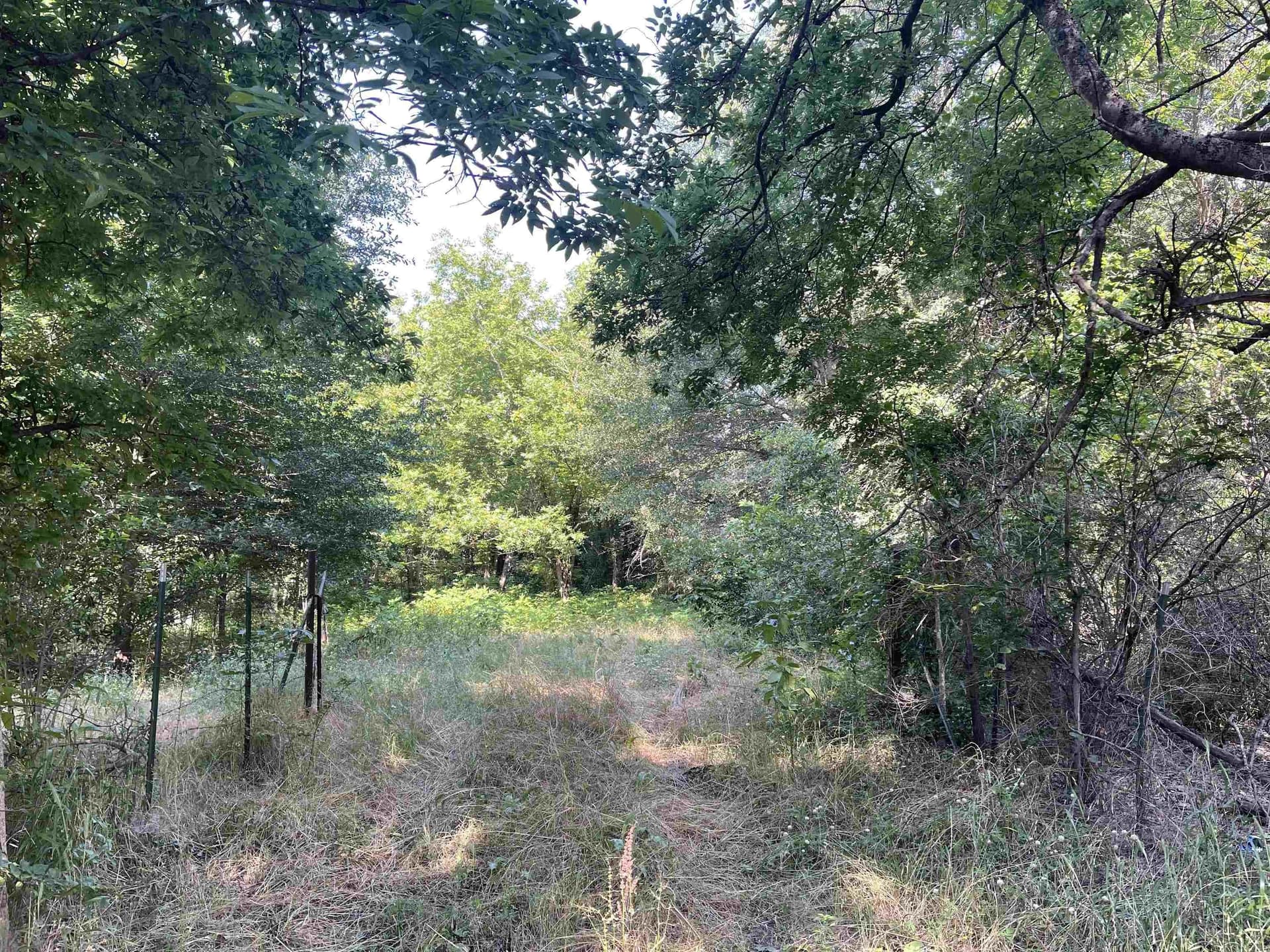 19.86 acres in Wood County gallery image 2