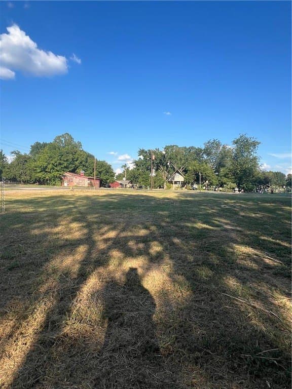 0.24 acres in Limestone County gallery image 4