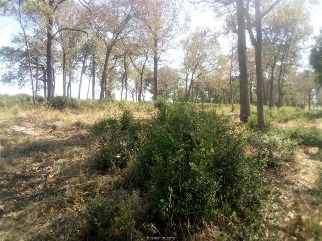 5.01 acres in Leon County - photo 18