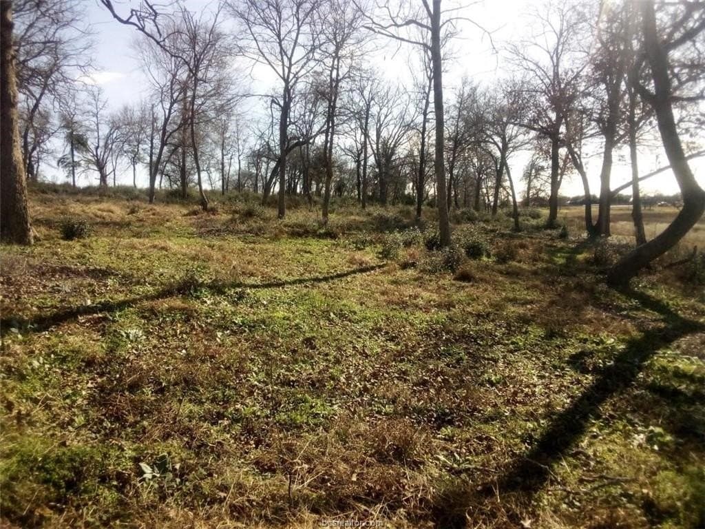 5.01 acres in Leon County - photo 13