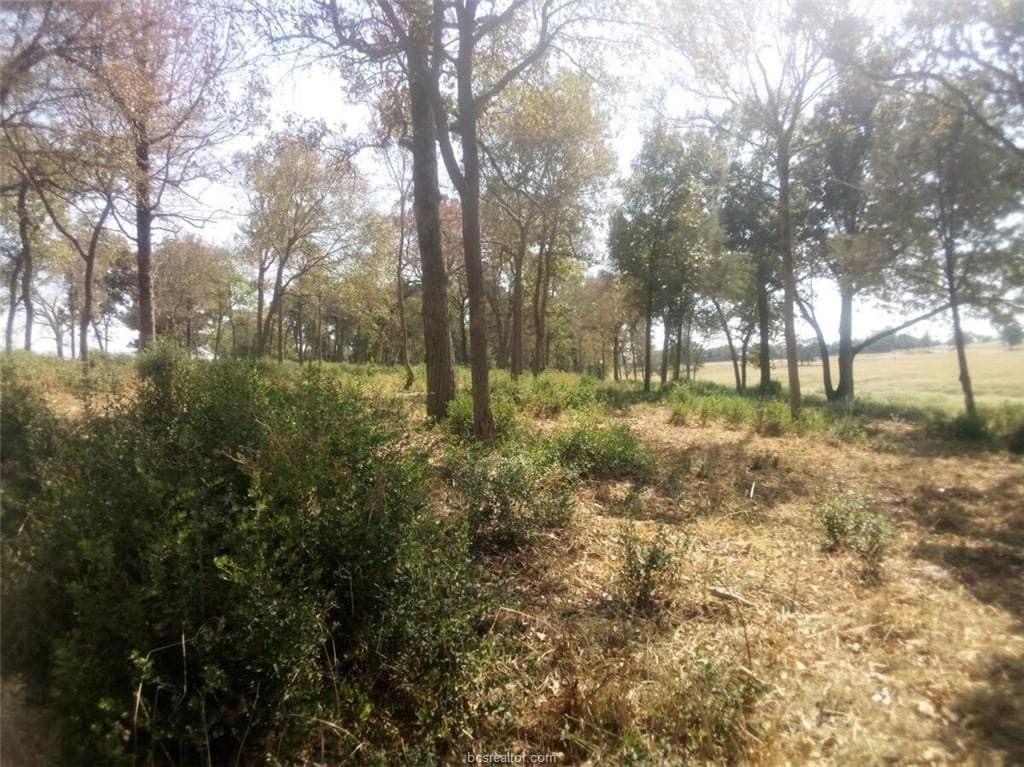5.01 acres in Leon County - photo 16