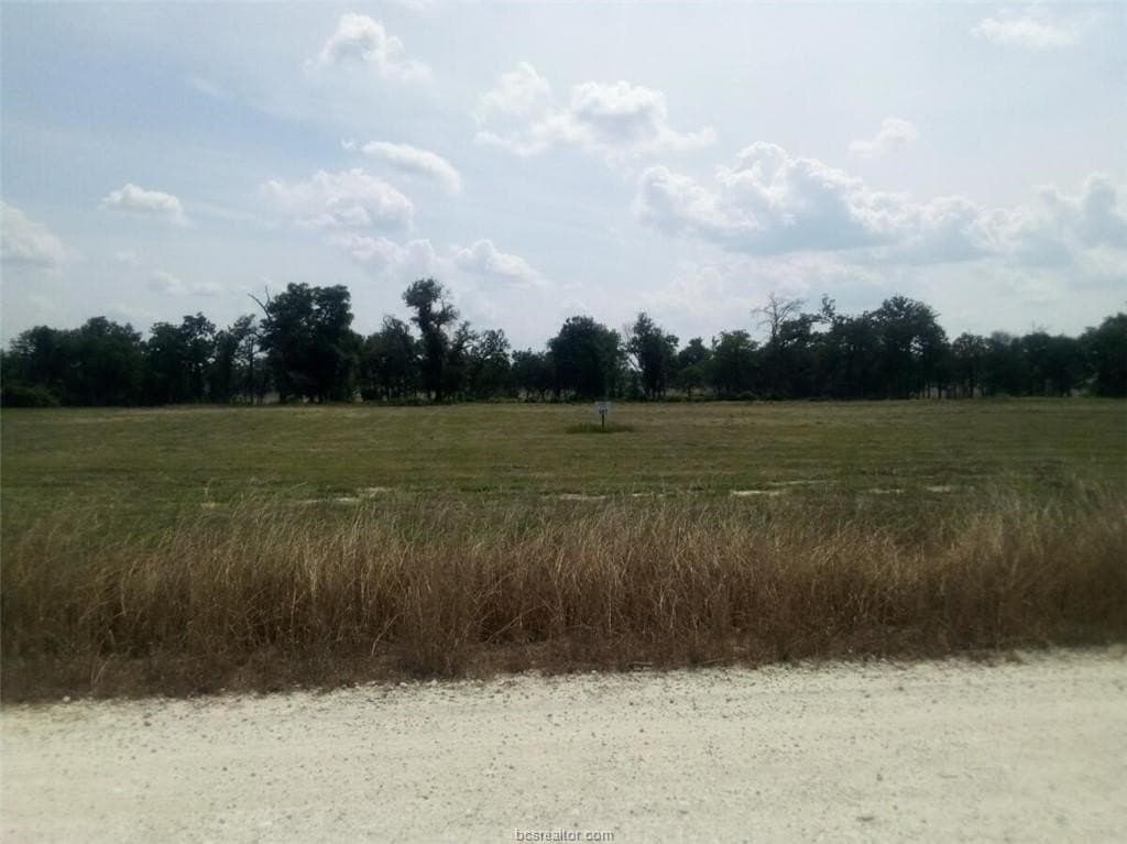 5.01 acres in Leon County gallery image 2